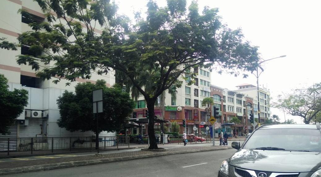 Escape Backpackers Kk Hostel โกตาคินาบาลู ภายนอก รูปภาพ